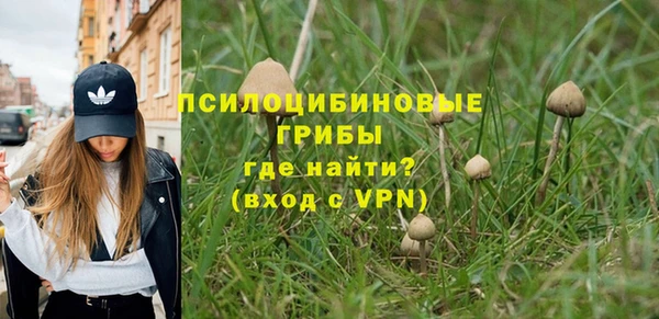 хмурый Балахна